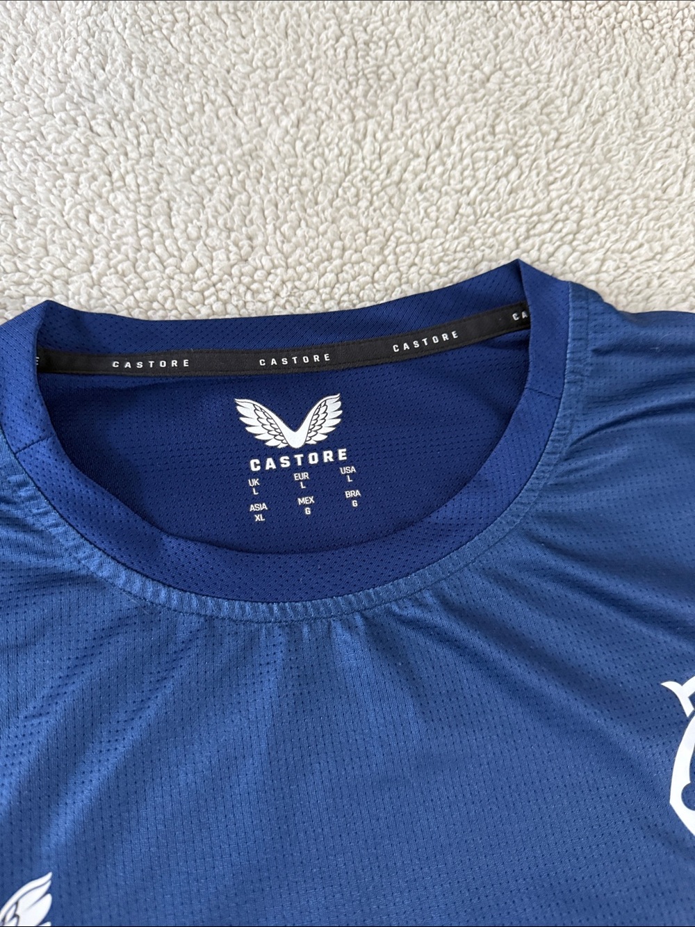 Rangers Football Club 2023-24 Castore Pre-Match Training Jersey View 3